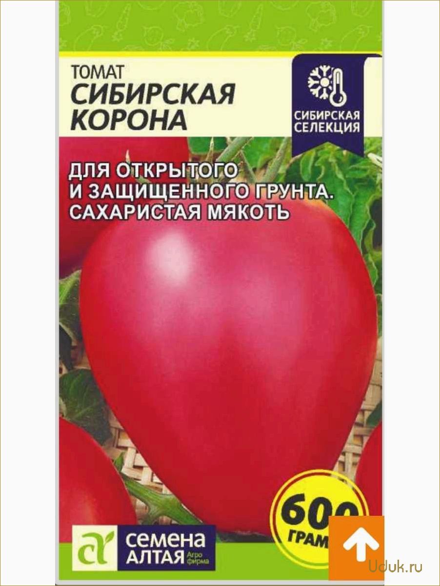 Высокоурожайный сорт томата с могучим вымени: описание, советы по выращиванию и уходу